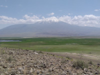 Doğubayazıt Marshes